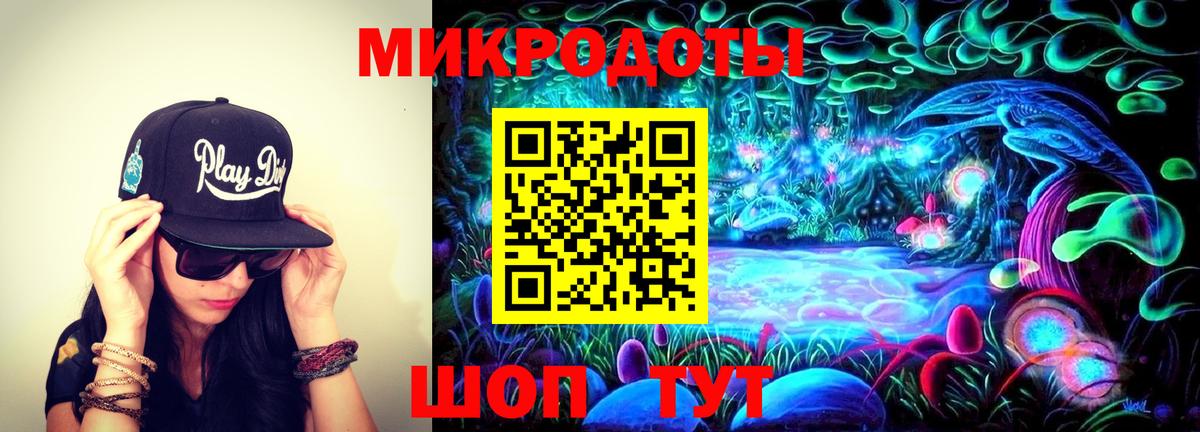 Псилоцибиновые грибы Cubensis Вологда